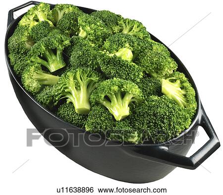 Stock Photograph - Broccoli on White - Non Exclusive. Fotosearch