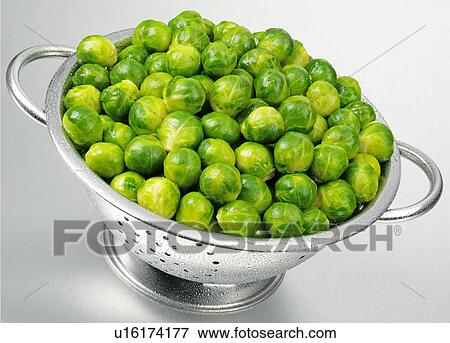 Brussel Sprouts In Colander View Large Photo Image Stock Photo - Brussel Sprouts In Colander. Fotosearch