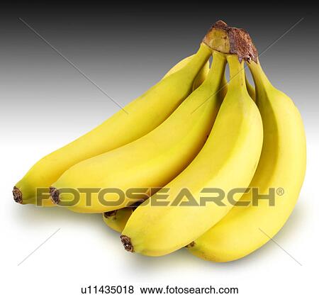 Stock Photo - Bunch of bananas on graduated. Fotosearch