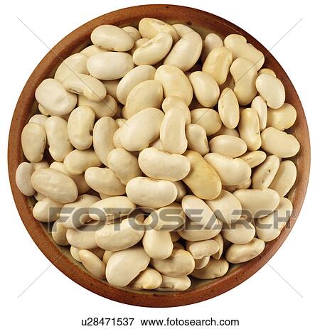 Stock Photo - Butter Beans on White - Non Exclusive. Fotosearch