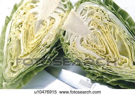 Cabbage View Large Photo Image Stock Photography - Cabbage. Fotosearch