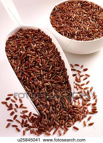 Camargue Red Rice in Scoop - Non Exclusive View Large Photo Image Stock Image - Camargue Red Rice in Scoop - Non Exclusive. Fotosearch
