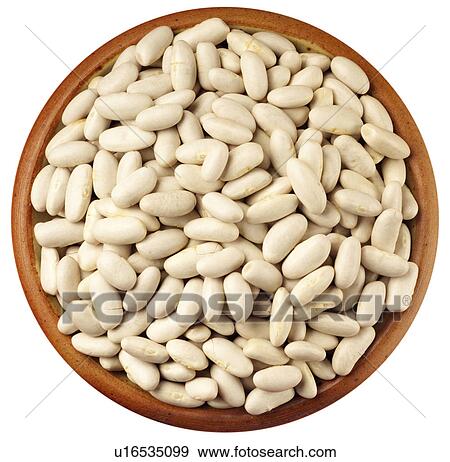 Stock Photo - Cannellini Beans on White - Non Exclusive. Fotosearch