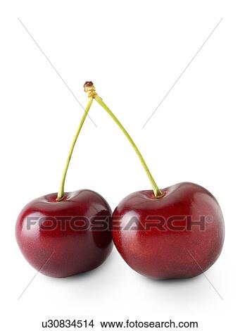 Picture - Cherries on white. Fotosearch