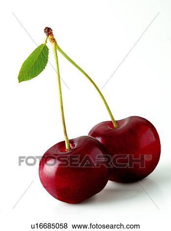 Stock Photo - Cherries. Fotosearch