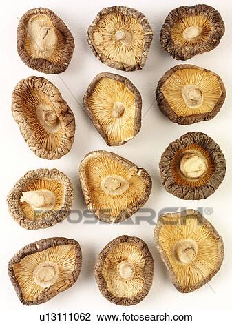 Stock Image - Chinese Mushrooms Hong Ku. Fotosearch