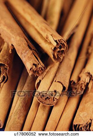 Cinnamon Sticks - Non Exclusive View Large Photo Image Stock Image - Cinnamon Sticks - Non Exclusive. Fotosearch
