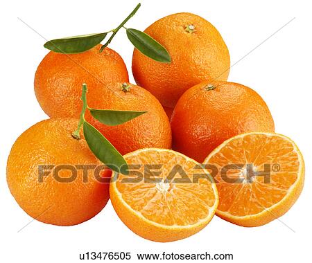 Stock Photography - Clementine - Non Exclusive. Fotosearch