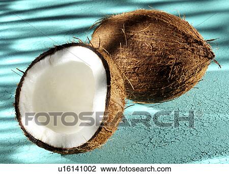 Coconuts on blue View Large Photo Image Stock Image - Coconuts on blue. Fotosearch