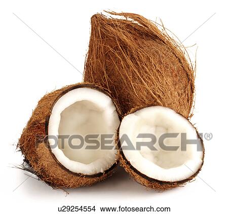 Coconuts View Large Photo Image Picture - Coconuts. Fotosearch