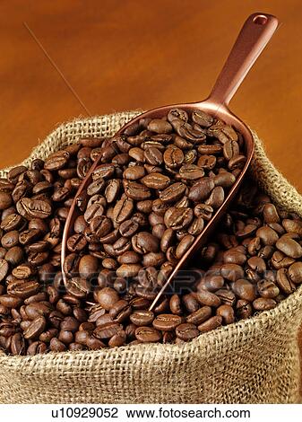 Stock Image - Coffee Beans in Sack - Non Exclusive. Fotosearch