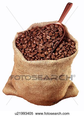 Coffee Beans in Sack on White - Non Exclusive View Large Photo Image Stock Photography - Coffee Beans in Sack on White - Non Exclusive. Fotosearch
