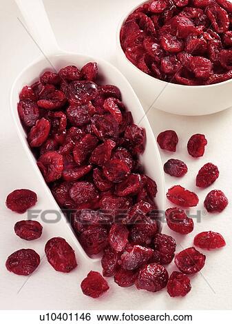 Dried Cranberries in Scoop - Non Exclusive View Large Photo Image Stock Photograph - Dried Cranberries in Scoop - Non Exclusive. Fotosearch