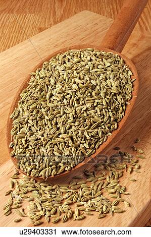 Dried Fennel View Large Photo Image Stock Image - Dried Fennel. Fotosearch