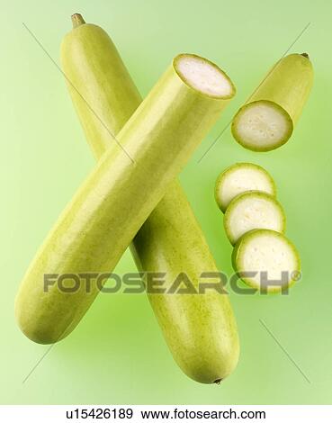 Dudhi Gourd View Large Photo Image Stock Photo - Dudhi Gourd. Fotosearch