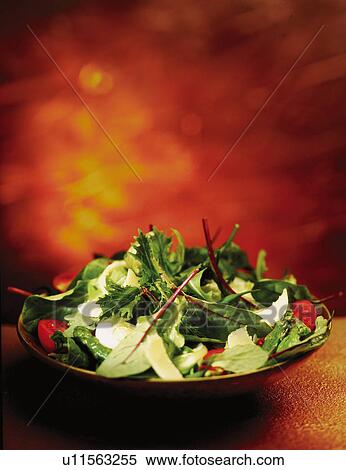 Egg salad View Large Photo Image Stock Photography - Egg salad. Fotosearch
