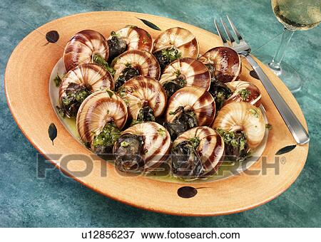 Escargot / Snails - Non Exclusive View Large Photo Image Stock Photo - Escargot / Snails - Non Exclusive. Fotosearch