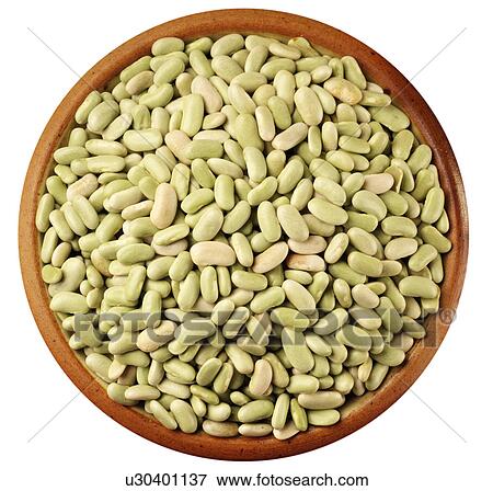 Flageolet Beans on White - Non Exclusive View Large Photo Image Stock Photo - Flageolet Beans on White - Non Exclusive. Fotosearch