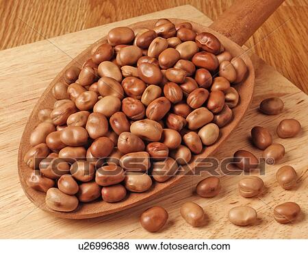Stock Photo - Foul Beans. Fotosearch