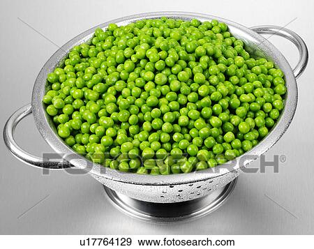 Stock Photo - Fresh Garden Peas In Colander. Fotosearch