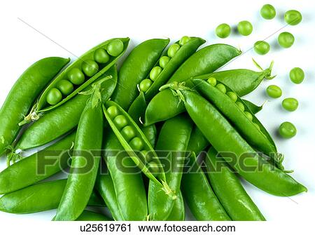 Fresh Peas View Large Photo Image Stock Image - Fresh Peas. Fotosearch