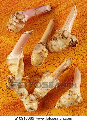 Stock Photography - Galangal. Fotosearch