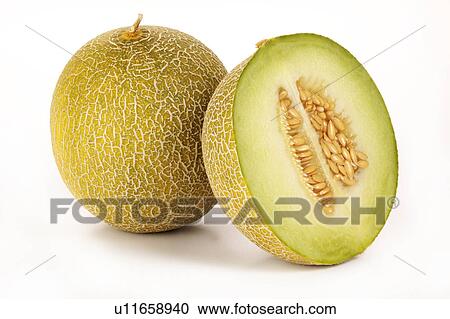 Galia melons View Large Photo Image Stock Image - Galia melons. Fotosearch