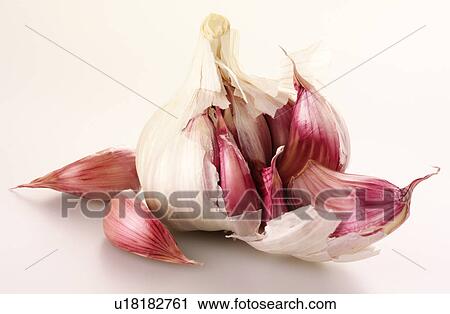 Stock Image - Garlic - Non Exclusive. Fotosearch
