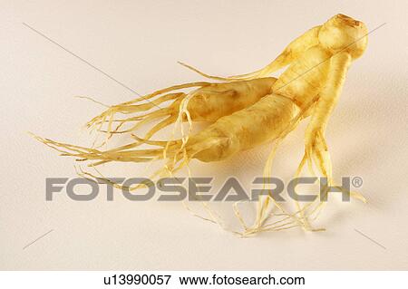 Ginseng View Large Photo Image Stock Photo - Ginseng. Fotosearch