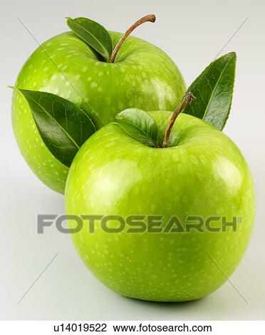 Stock Image - green apples. Fotosearch