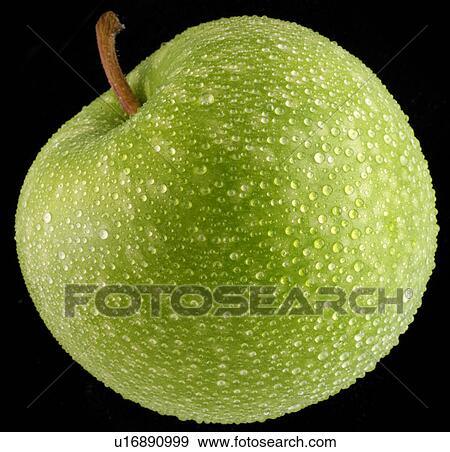 Stock Photo - green eating apple. Fotosearch