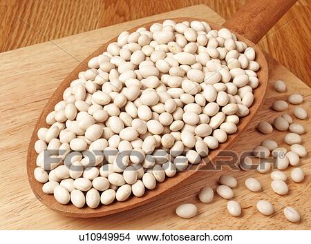 Haricot Beans View Large Photo Image Picture - Haricot Beans. Fotosearch
