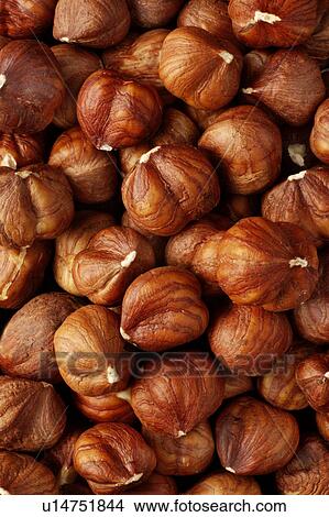 Picture - Hazelnuts, whole. Fotosearch