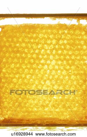 Honeycomb View Large Photo Image Picture - Honeycomb. Fotosearch