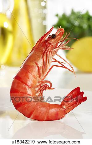 King prawn View Large Photo Image Stock Photo - King prawn. Fotosearch