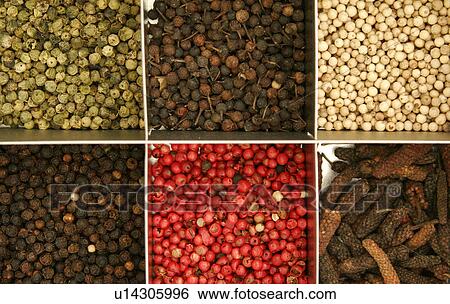 Mixed Peppercorns View Large Photo Image Stock Photograph - Mixed Peppercorns. Fotosearch