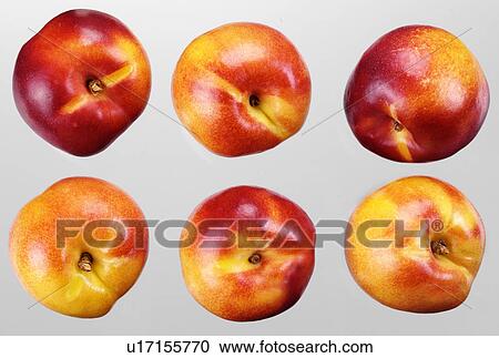 Stock Image - Nectarines - Non Exclusive. Fotosearch