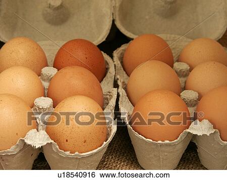 Organic brown eggs View Large Photo Image Stock Photograph - Organic brown eggs. Fotosearch