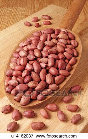 Peanut Kernels View Large Photo Image Stock Photo - Peanut Kernels. Fotosearch