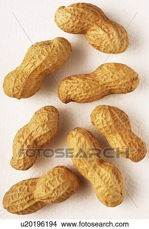 Peanuts, shells View Large Photo Image Picture - Peanuts, shells. Fotosearch