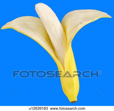 Stock Image - Peeled Banana on Blue - Non Exclusive. Fotosearch