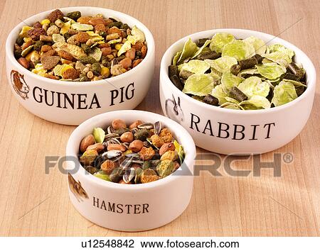 Pet Foods - Non Exclusive View Large Photo Image Stock Image - Pet Foods - Non Exclusive. Fotosearch