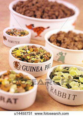 Stock Image - Pet Foods - Non Exclusive. Fotosearch