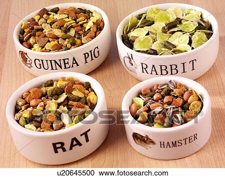 Pet Foods - Non Exclusive View Large Photo Image Stock Image - Pet Foods - Non Exclusive. Fotosearch