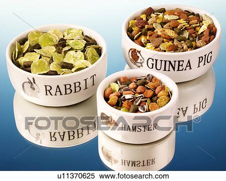 Stock Photography - Pet Foods - Non Exclusive. Fotosearch
