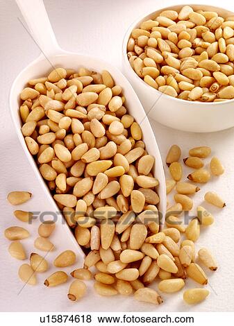 Pine Kernals in Scoop - Non Exclusive View Large Photo Image Stock Photo - Pine Kernals in Scoop - Non Exclusive. Fotosearch