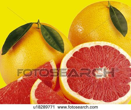 Pink grapefruit View Large Photo Image Stock Image - Pink grapefruit. Fotosearch