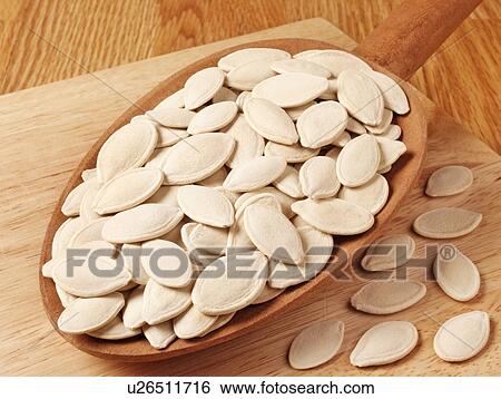 Pumpkin Seeds View Large Photo Image Stock Photograph - Pumpkin Seeds. Fotosearch
