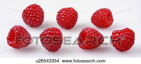 Raspberries - Non Exclusive View Large Photo Image Picture - Raspberries - Non Exclusive. Fotosearch
