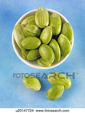Picture - Sato Beans. Fotosearch